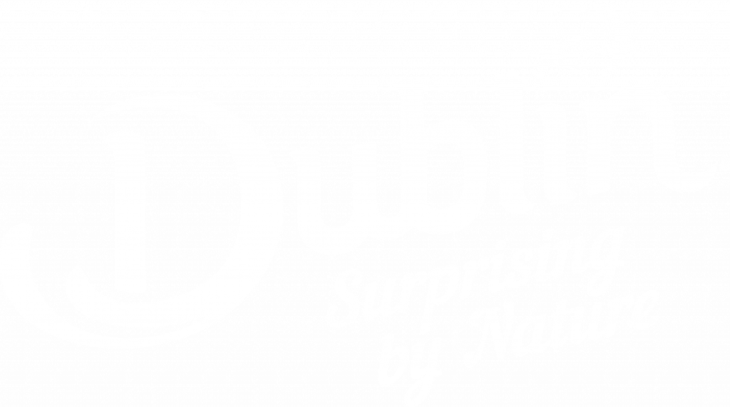 Dublin Surprising by Nature logo