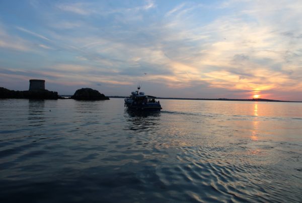 boat sailing on the sea with sun setting in background