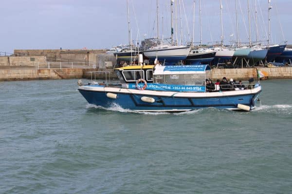 MV Dolphin Discovery